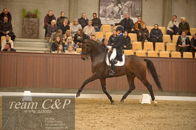 Blue Hors
7 års finale dressur
Nøgleord: elliot julianelyst;tania m joensen