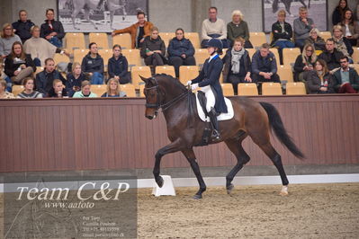 Blue Hors
7 års finale dressur
Nøgleord: elliot julianelyst;tania m joensen