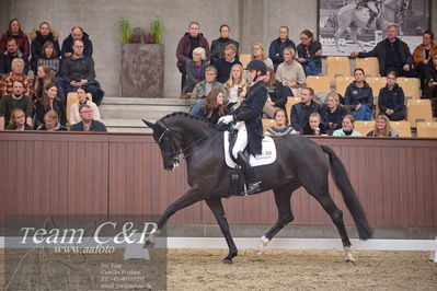 Blue Hors
7 års finale dressur
Nøgleord: queenparks wendy;andreas helgstrand