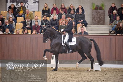 Blue Hors
7 års finale dressur
Nøgleord: queenparks wendy;andreas helgstrand