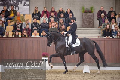 Blue Hors
7 års finale dressur
Nøgleord: queenparks wendy;andreas helgstrand