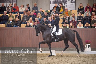 Blue Hors
7 års finale dressur
Nøgleord: queenparks wendy;andreas helgstrand