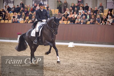 Blue Hors
7 års finale dressur
Nøgleord: queenparks wendy;andreas helgstrand