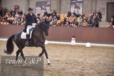 Blue Hors
7 års finale dressur
Nøgleord: queenparks wendy;andreas helgstrand