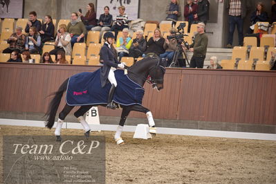 Blue Hors
7 års finale dressur
Nøgleord: elverhøjs raccolto;marianne helgstrand;lap of honour