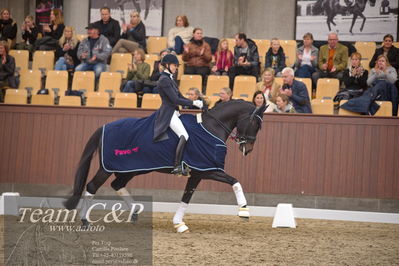 Blue Hors
7 års finale dressur
Nøgleord: elverhøjs raccolto;marianne helgstrand;lap of honour