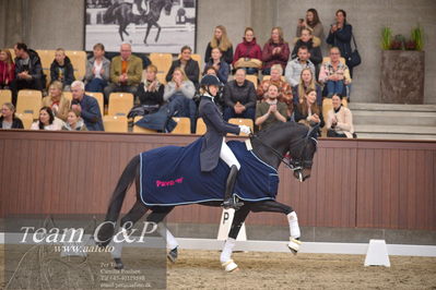 Blue Hors
7 års finale dressur
Nøgleord: elverhøjs raccolto;marianne helgstrand;lap of honour