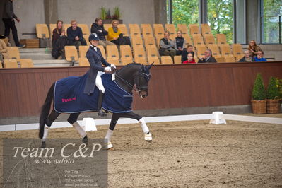 Blue Hors
7 års finale dressur
Nøgleord: elverhøjs raccolto;marianne helgstrand;lap of honour