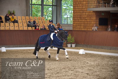 Blue Hors
7 års finale dressur
Nøgleord: elverhøjs raccolto;marianne helgstrand;lap of honour