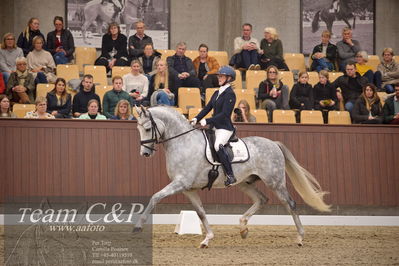 Blue Hors
5års finale dressur
Nøgleord: dune nec;sissel bille jacobsen