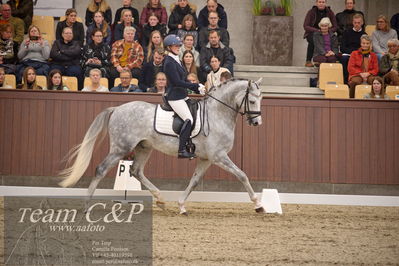 Blue Hors
5års finale dressur
Nøgleord: dune nec;sissel bille jacobsen