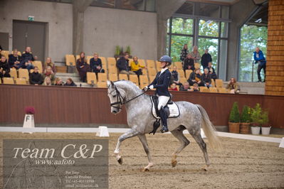 Blue Hors
5års finale dressur
Nøgleord: dune nec;sissel bille jacobsen