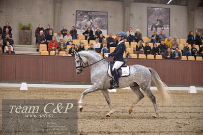 Blue Hors
5års finale dressur
Nøgleord: dune nec;sissel bille jacobsen