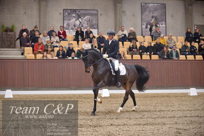 Blue Hors
5års finale dressur
Nøgleord: hesselhøj dream;jan møller Christensen