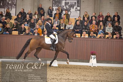 Blue Hors
5års finale dressur
Nøgleord: svalegårds hot zalina;michael grønne christensen