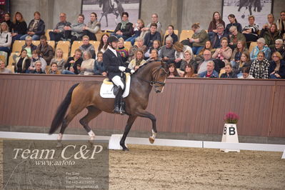 Blue Hors
5års finale dressur
Nøgleord: svalegårds hot zalina;michael grønne christensen