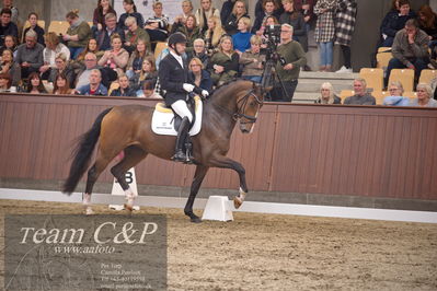 Blue Hors
5års finale dressur
Nøgleord: svalegårds hot zalina;michael grønne christensen
