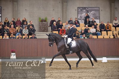 Blue Hors
5års finale dressur
Nøgleord: polka sensation nexen;dennis kjær