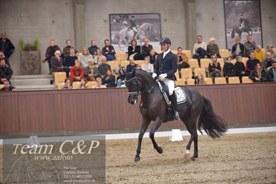 Blue Hors
5års finale dressur
Nøgleord: polka sensation nexen;dennis kjær
