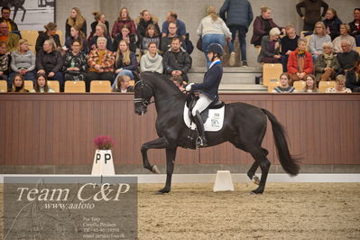 Blue Hors
5års finale dressur
Nøgleord: blue hors zackorado;christian tudda ruiz
