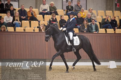 Blue Hors
5års finale dressur
Nøgleord: blue hors zackorado;christian tudda ruiz