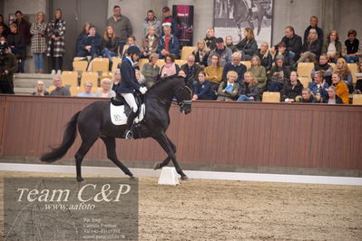 Blue Hors
5års finale dressur
Nøgleord: blue hors zackorado;christian tudda ruiz