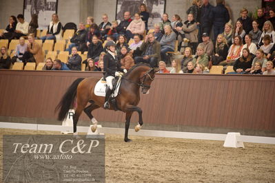 Blue Hors
5års finale dressur
Nøgleord: hesselhoej down town;jeanna hogberg