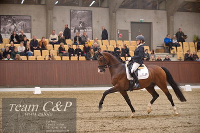 Blue Hors
5års finale dressur
Nøgleord: hesselhoej down town;jeanna hogberg
