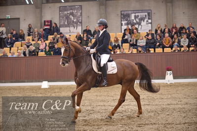 Blue Hors
5års finale dressur
