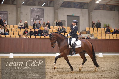 Blue Hors
5års finale dressur
