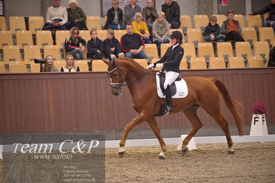 Blue Hors
5års finale dressur
