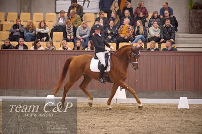 Blue Hors
5års finale dressur
