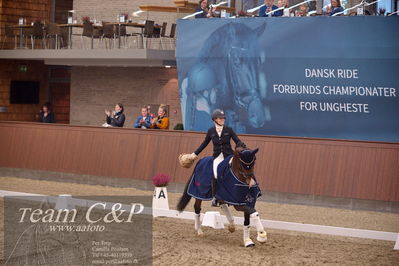 Blue Hors
5års finale dressur
Nøgleord: hesselhoej down town;jeanna hogberg;lap of honour