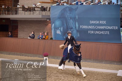 Blue Hors
5års finale dressur
Nøgleord: hesselhoej down town;jeanna hogberg;lap of honour