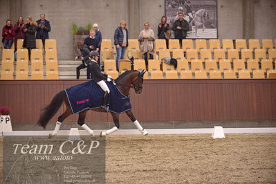 Blue Hors
5års finale dressur
Nøgleord: hesselhoej down town;jeanna hogberg;lap of honour