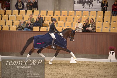 Blue Hors
5års finale dressur
Nøgleord: hesselhoej down town;jeanna hogberg;lap of honour