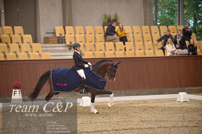 Blue Hors
5års finale dressur
Nøgleord: hesselhoej down town;jeanna hogberg;lap of honour