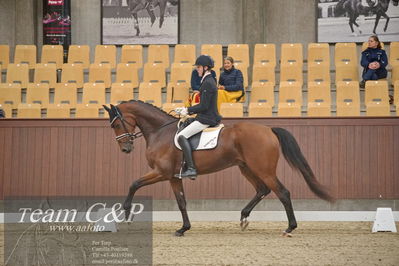 Blue Hors
1. kvl 4års heste dressur
Nøgleord: lohmanns sagoson;anders uve sjøbeck hoeck