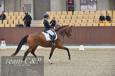 Blue Hors
1. kvl 4års heste dressur
Nøgleord: francisca-d;lovisa wessblad