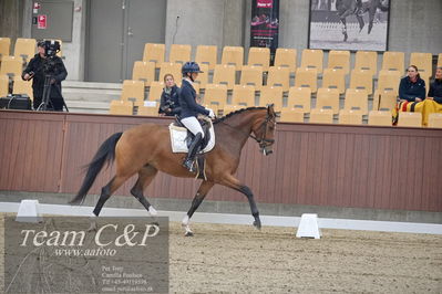 Blue Hors
1. kvl 4års heste dressur
Nøgleord: francisca-d;lovisa wessblad