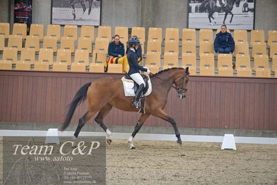 Blue Hors
1. kvl 4års heste dressur
Nøgleord: francisca-d;lovisa wessblad