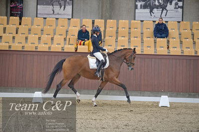 Blue Hors
1. kvl 4års heste dressur
Nøgleord: francisca-d;lovisa wessblad