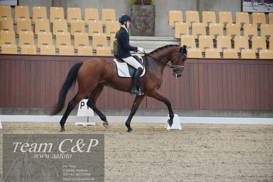 Blue Hors
1. kvl 4års heste dressur
Nøgleord: lohmanns sagoson;anders uve sjøbeck hoeck