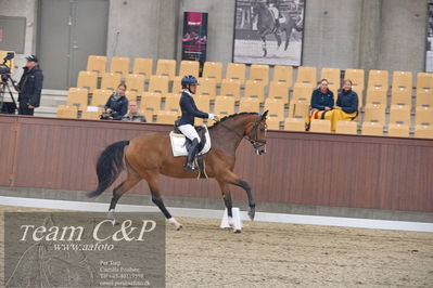 Blue Hors
1. kvl 4års heste dressur
Nøgleord: francisca-d;lovisa wessblad