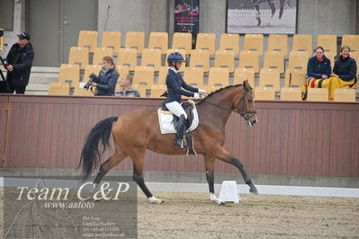 Blue Hors
1. kvl 4års heste dressur
Nøgleord: francisca-d;lovisa wessblad
