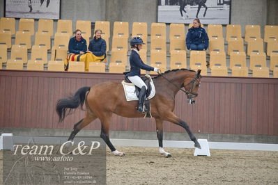 Blue Hors
1. kvl 4års heste dressur
Nøgleord: francisca-d;lovisa wessblad