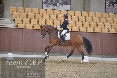 Blue Hors
1. kvl 4års heste dressur
Nøgleord: francisca-d;lovisa wessblad