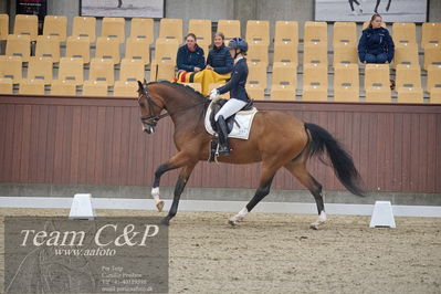 Blue Hors
1. kvl 4års heste dressur
Nøgleord: francisca-d;lovisa wessblad