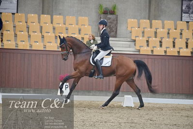 Blue Hors
1. kvl 4års heste dressur
Nøgleord: lohmanns sagoson;anders uve sjøbeck hoeck