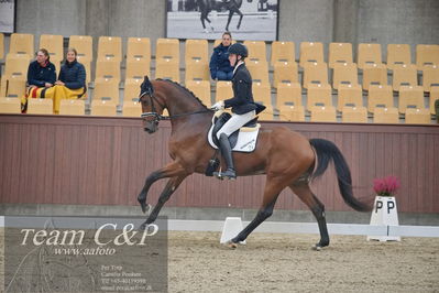 Blue Hors
1. kvl 4års heste dressur
Nøgleord: lohmanns sagoson;anders uve sjøbeck hoeck